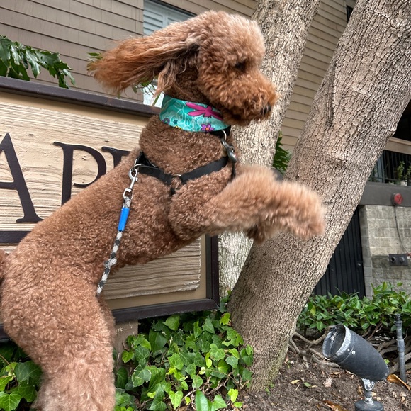 SLEEPERSTYLE LIVE Show! LIKE NOW! Join me for Fashion & Fun! Please Share! 💤😇 - Picture 11 of 17